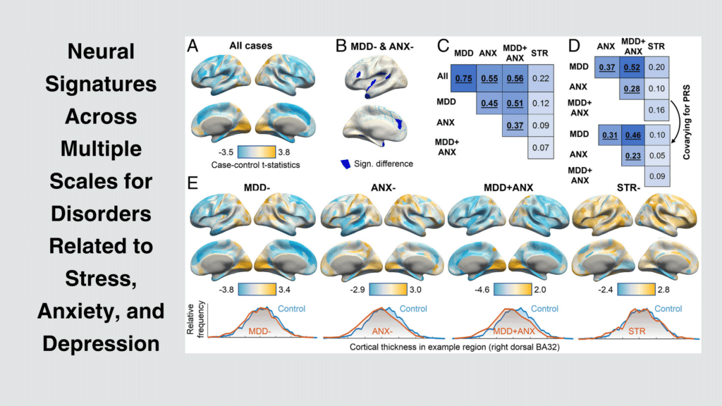 Neural Signatures Across Multiple Scales for Disorders Related to Stress, Anxiety, and Depression