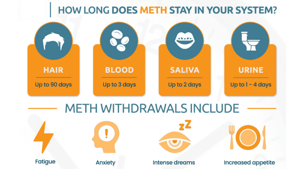 How long does meth stay in your system