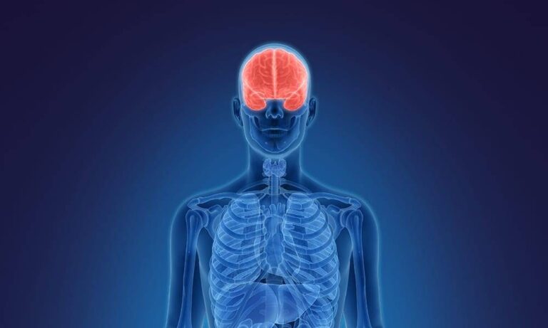 How Heroin Affect The Brain:  A Comprehensive Guide