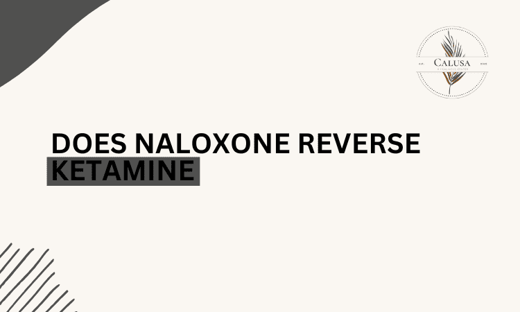 does-naloxone-reverse-ketamine