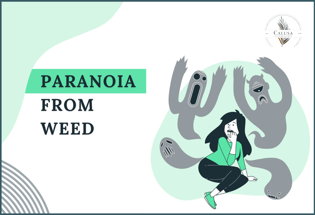 Understanding Paranoia from Weed: Causes & How to Cope