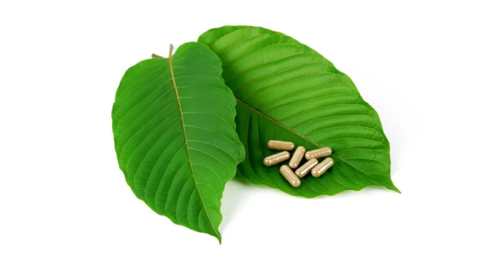 7-hydroxymitragynine vs kratom